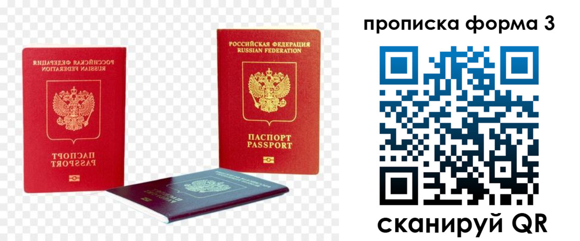 временная регистрация 2025 в Балтийске